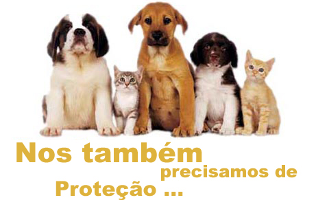 Foto antiga do primeiro grupo de voluntários com alguns cães resgatados.